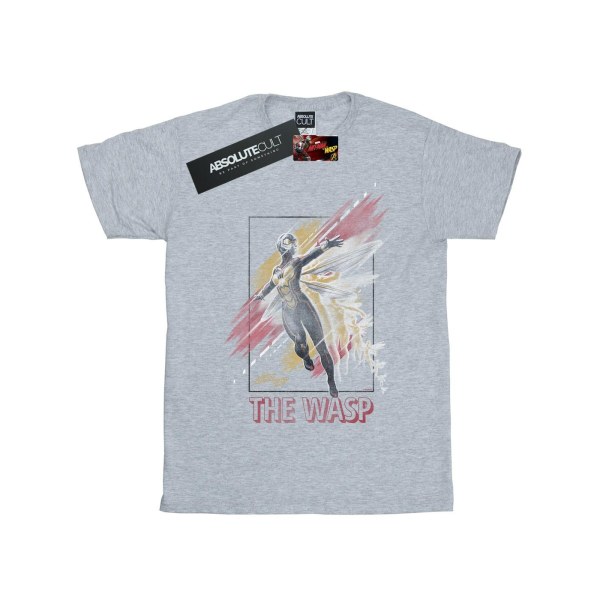 Marvel Girls Ant-Man And The Wasp Inramad Geting T-shirt i bomull 5- Sports Grey 5-6 Years