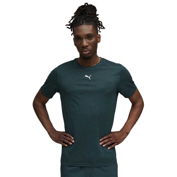 Puma Herr Tad Performance Gym T-shirt S Terrain Terrain S