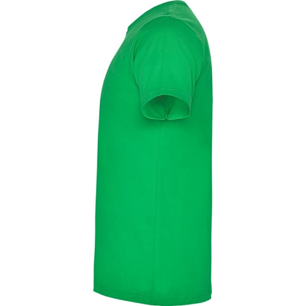 Roly Barn- & Flickor-T-shirt Dogo 5-6 År Irländsk Grön Irish Green 5-6 Years