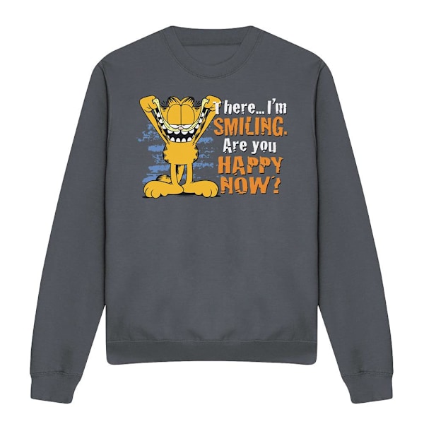 Garfield Unisex Vuxen Tröja med Tryck M Gråmelerad Charcoal M
