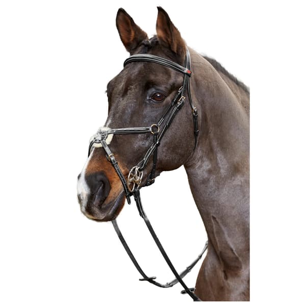 Whitaker Venice Läder Träns Med Tyglar Full Svart Black Full