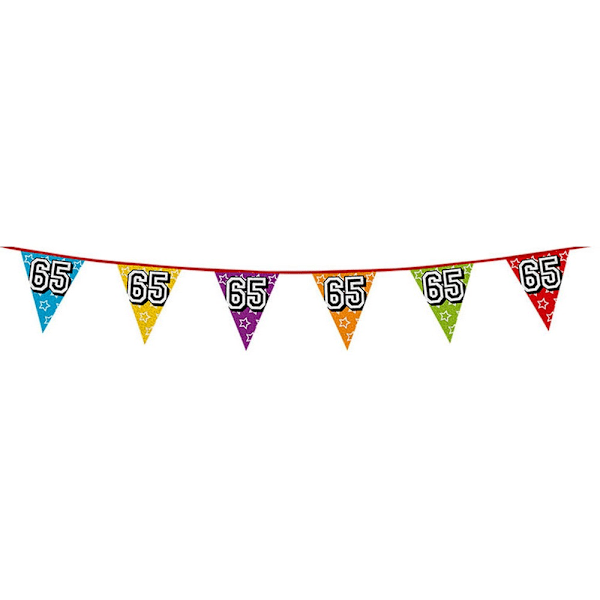 Boland Holografisk 65-årsdag Vimpel En Storlek Flerfärgad Multicoloured One Size
