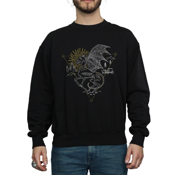 Harry Potter Herr Thestral Line Art Sweatshirt L Svart Black L