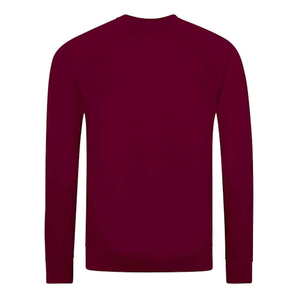 Awdis Barn/Barn Akademi Raglan Sweatshirt XS Burgundy Burgundy XS