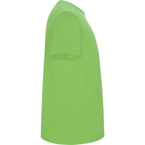 Roly Barn/Barn Stafford Kortärmad T-shirt 9-10 År Oasis Green Oasis Green 9-10 Years