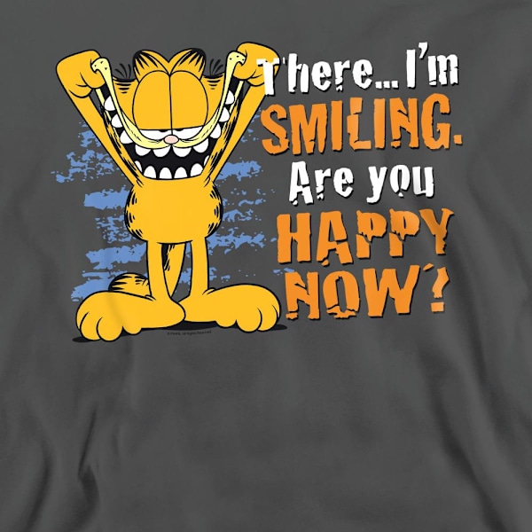 Garfield Unisex Vuxen Tröja med Tryck M Gråmelerad Charcoal M
