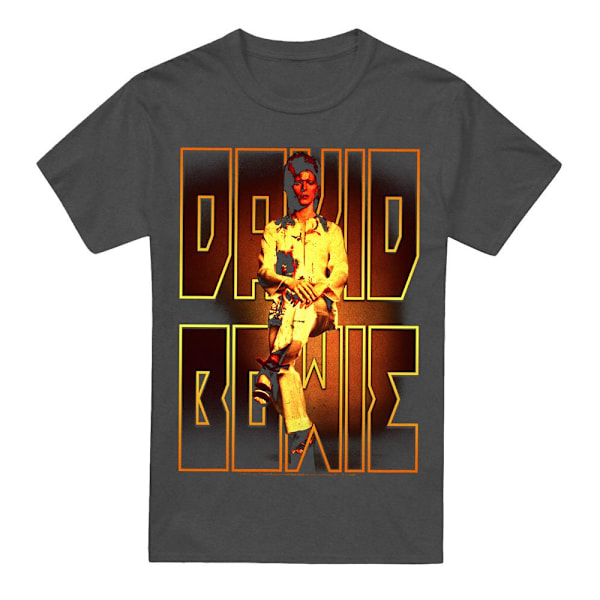 David Bowie Unisex Vuxen Perched T-Shirt XXL Kolgrå Charcoal XXL
