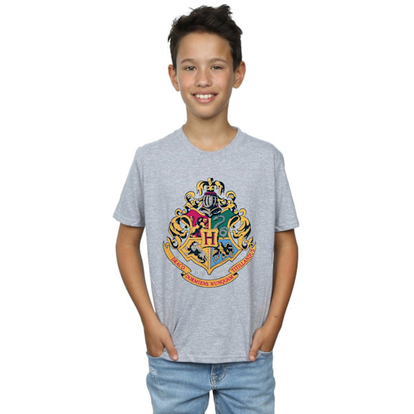 Harry Potter Pojkar Hogwarts Vapen Guldtryck T-Shirt 9-11 År Sp Sports Grey 9-11 Years