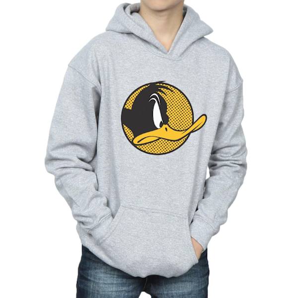 Looney Tunes Pojkar Daffy Duck Prickig Profil Hoodie 12-13 År Sports Grey 12-13 Years
