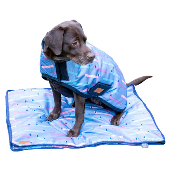 Benji & Flo Dorris The Dachshund Hundkappa 3XS Riviera Blå/Marinblå Riviera Blue/Navy 3XS