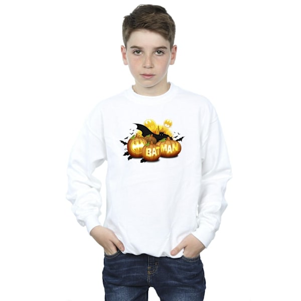 DC Comics Boys Batman Pumpkins Sweatshirt 7-8 år Vit White 7-8 Years