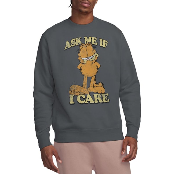 Garfield Unisex Vuxen Fråga Mig Sweatshirt L Gråmelerad Charcoal L