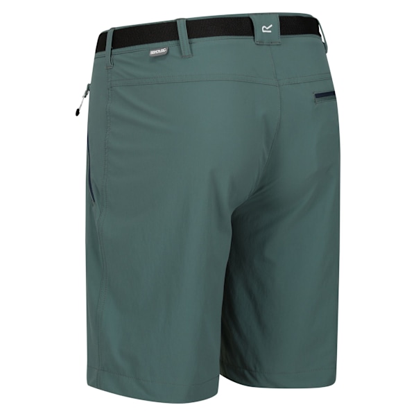 Regatta Mens Xert III Stretch Shorts 38R Sea Pine Sea Pine 38R