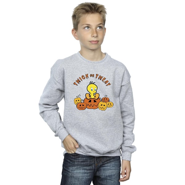 Looney Tunes Boys Twick Or Tweat Sweatshirt 7-8 år Sports Grå Sports Grey 7-8 Years