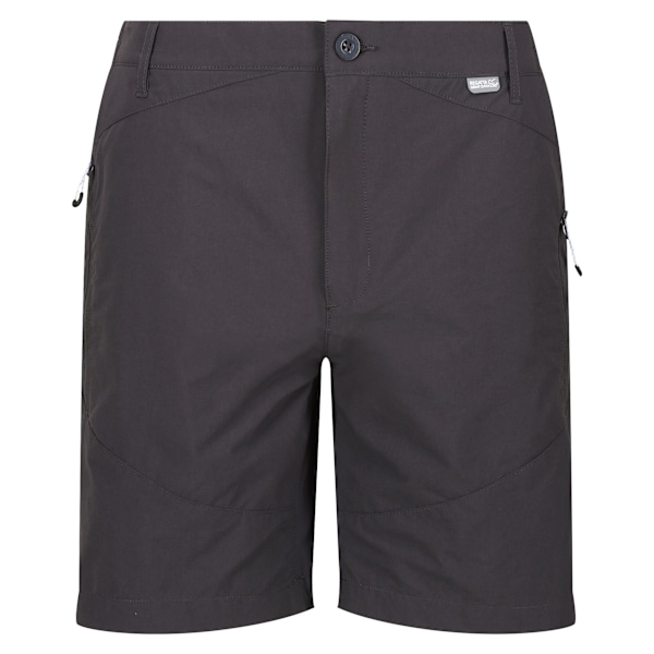 Regatta Highton Vandringshorts för Herr 30R Sälgrå Seal Grey 30R