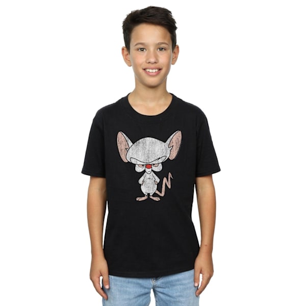 Animaniacs Pojkar The Brain Klassisk Pose T-shirt 5-6 år Svart Black 5-6 Years