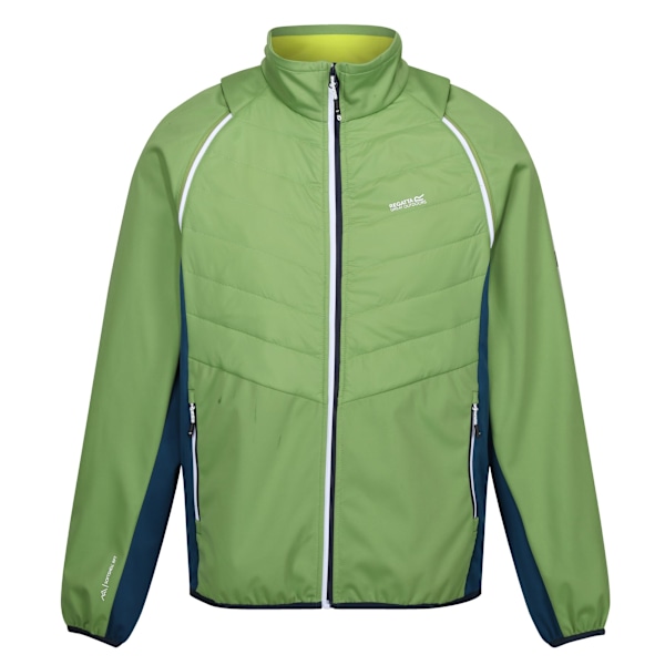 Regatta Herr Steren II Softshell Hybrid Jacka S Piquant Green/ Piquant Green/Moroccan Blue/Citron S