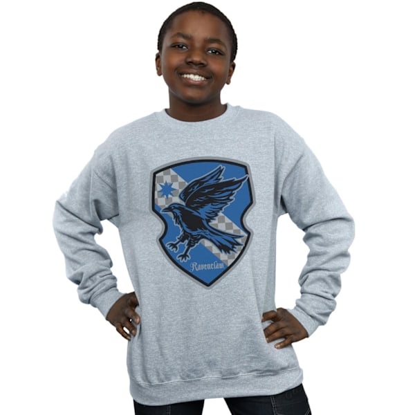 Harry Potter Pojkar Ravenclaw Crest Flat Sweatshirt 9-11 År Sp Sports Grey 9-11 Years