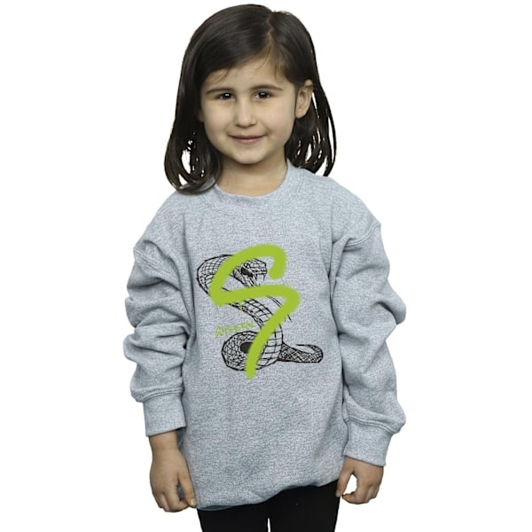 Harry Potter Girls Slytherin Pop Spray Sweatshirt 12-13 år S Sports Grey 12-13 Years