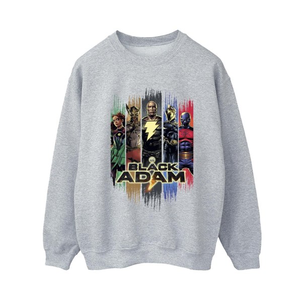 DC Comics Womens/Ladies Black Adam JSA Complete Group Sweatshirt Sports Grey S