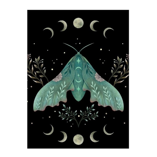 Episodic Drawing Luna Moth Print 40cm x 30cm Svart/Grön Black/Green 40cm x 30cm