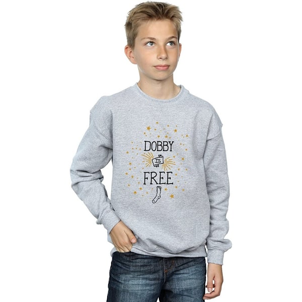Harry Potter Pojkar Dobby Is Sweatshirt 9-11 År Sport Grå Sports Grey 9-11 Years