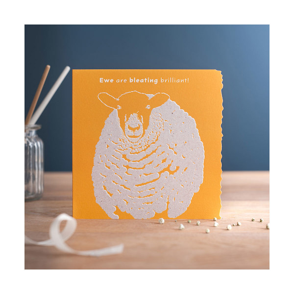 Deckled Edge Colour Block Animal Greetings Card One Size Ewe Ar Ewe Are Bleating Brilliant - Sheep One Size