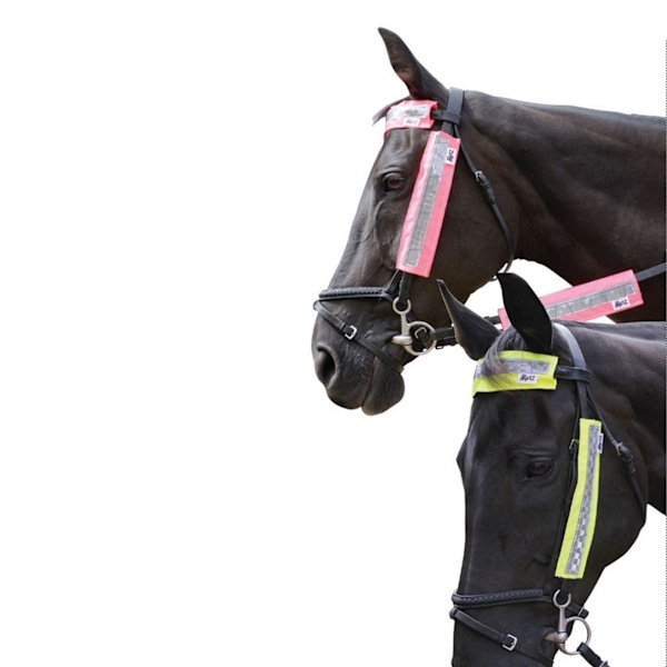 HyVIZ Bridle Set (3-delat set) One Size Rosa Pink One Size