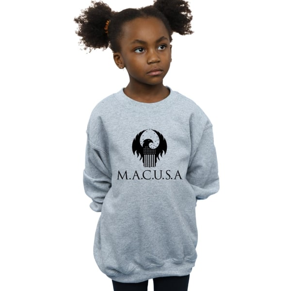 Fantastic Beasts Girls MACUSA Logo Sweatshirt 12-13 år Sport Sports Grey 12-13 Years