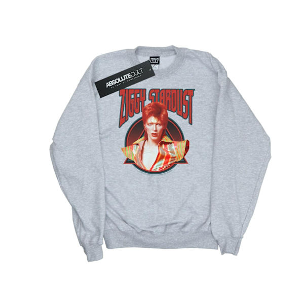 David Bowie Herr Ziggy Stardust Sweatshirt XL Sports Grey Sports Grey XL