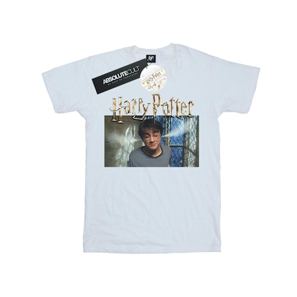 Harry Potter Pojkar Steam Ears T-Shirt 7-8 År Vit White 7-8 Years