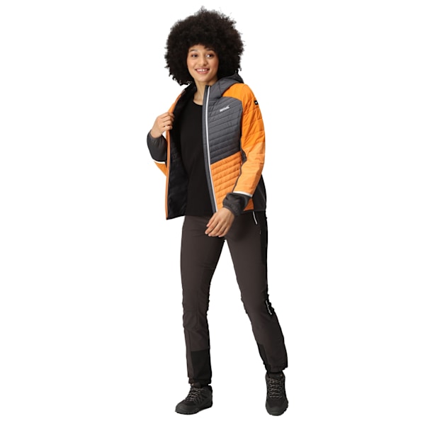 Regatta Dam/Kvinnor Trutton II Baffled Hooded Jacket 20 UK Apricot Crush/Seal Grey Apricot Crush/Seal Grey 20 UK