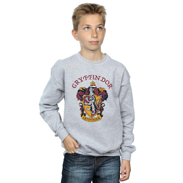 Harry Potter Pojkar Gryffindor Bomullströja 12-13 År Spor Sports Grey 12-13 Years