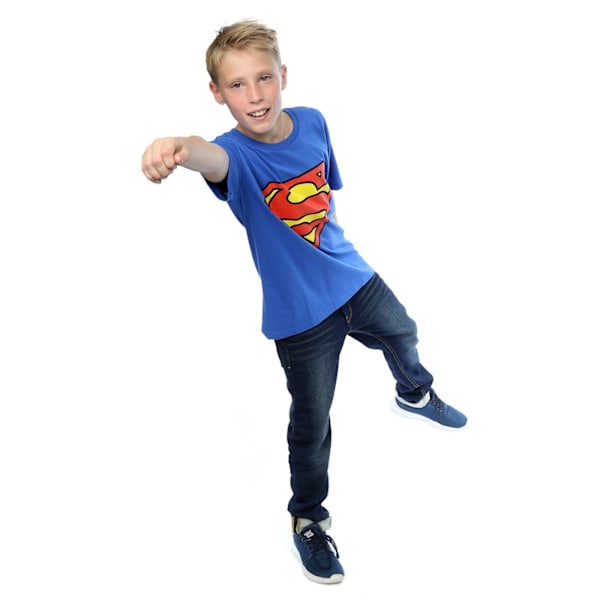DC Comics Pojkars Superman Logotyp T-shirt 7-8 År Royal Blå Royal Blue 7-8 Years