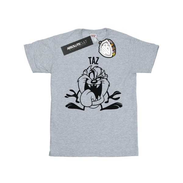 Looney Tunes Taz Stor Huvud T-shirt S Sports Grey Sports Grey S