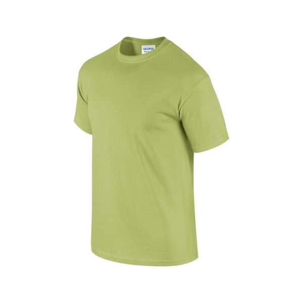 Gildan Herr Ultra Cotton T-shirt XXL Pistachio Pistachio XXL