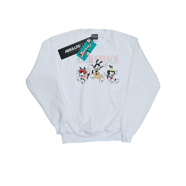 Animaniacs Herr Grupp Hopp Sweatshirt 4XL Vit White 4XL