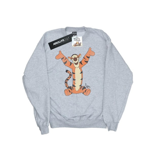 Disney Herr Winnie The Pooh Classic Tigger Sweatshirt 3XL Sport Sports Grey 3XL