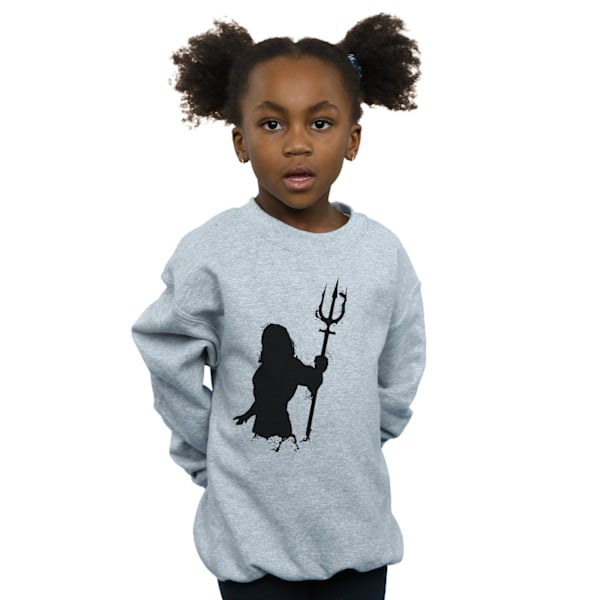 DC Comics Girls Aquaman Mono Silhouette Sweatshirt 9-11 år S Sports Grey 9-11 Years