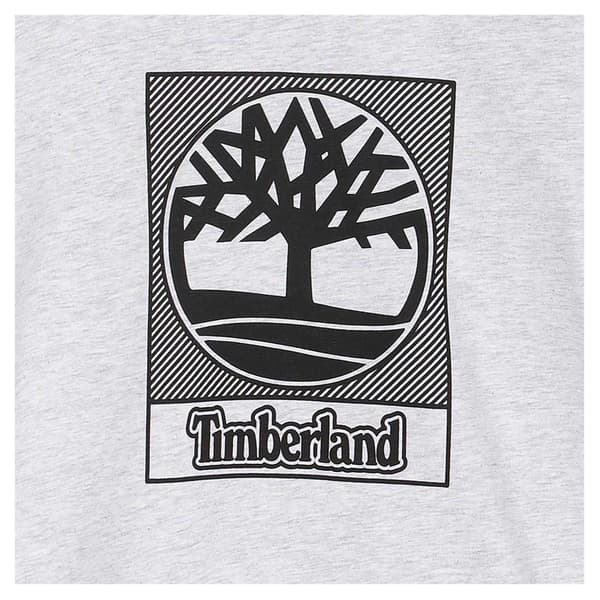 Timberland Pojkar Logotyp Regular T-Shirt 10 År Grå Grey 10 Years