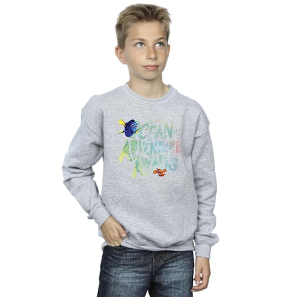 Disney Boys Finding Dory Ocean Of Adventure Sweatshirt 3-4 År Sports Grey 3-4 Years