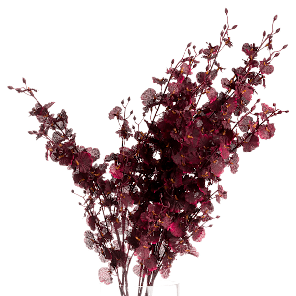Hill Interiors Orkidé Spray Konstgjord Blomma One Size Mörk Bur Dark Burgundy One Size