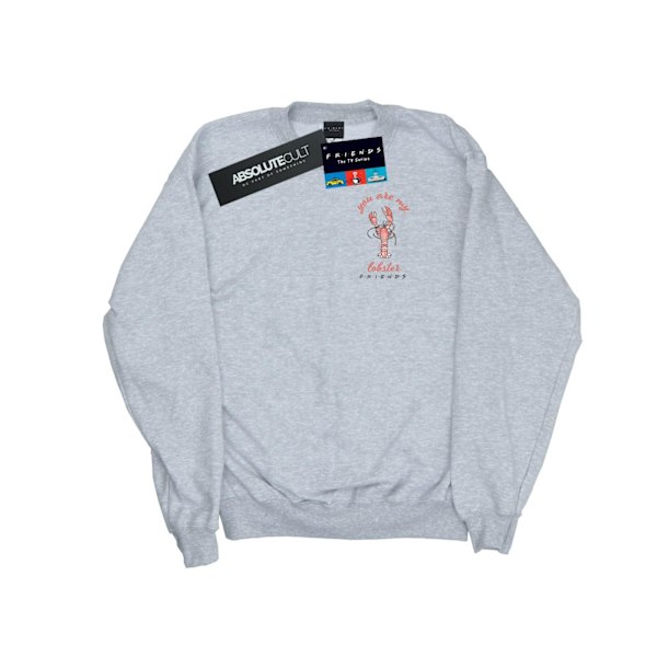 Friends Dam/Damer Hummer Bröst Sweatshirt XXL Sports Grey Sports Grey XXL