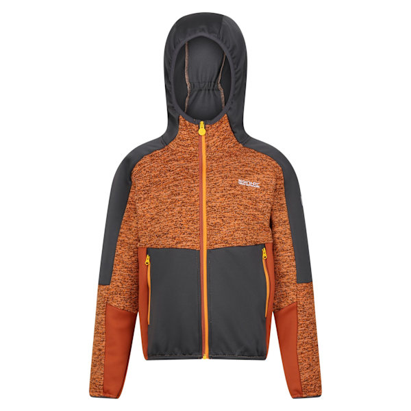 Regatta Barn/Barn Dissolver VII Full Zip Fleece Jacka 3-4 Orange Pepper/Seal Grey 3-4 Years