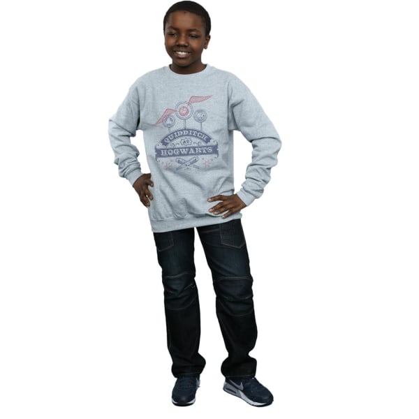 Harry Potter Quidditch på Hogwarts Sweatshirt för pojkar 9-11 år S Sports Grey 9-11 Years