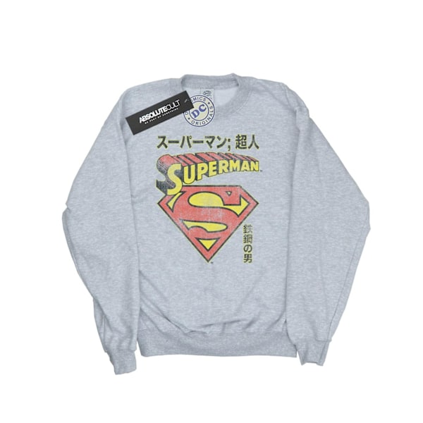 DC Comics Pojkar Superman Shield Sweatshirt 9-11 År Sports Grå Sports Grey 9-11 Years