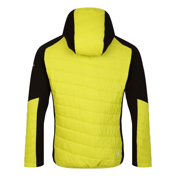Dare 2B Herr Touring Kontrastpanel Hybridjacka S Neon Spring Neon Spring/Black S