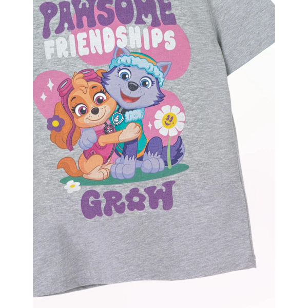 Paw Patrol Girls Pawsome Friendships Marl T-Shirt 3-4 år Grå Grey 3-4 Years