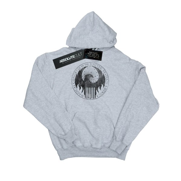 Fantastic Beasts Girls Distressed Magical Congress Hoodie 9-11 Sports Grey 9-11 Years