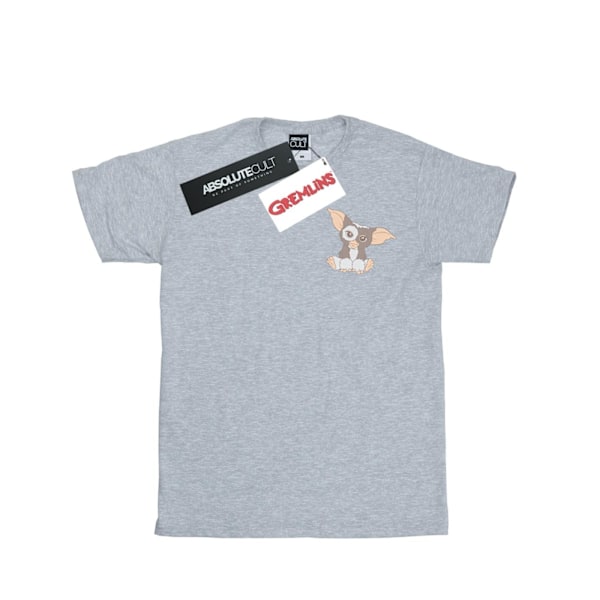 Gremlins Herr Gizmo Bröst T-shirt 3XL Sports Grey Sports Grey 3XL
